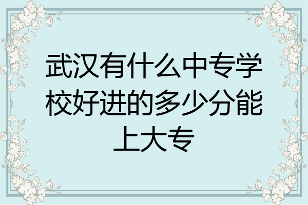 武汉有什么中专学校好进的多少分能上大专