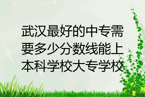 武汉最好的中专需要多少分数线能上本科学校大专学校