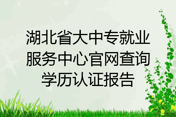 湖北省大中专就业服务中心官网查询学历认证报告