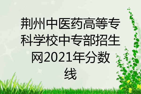荆州中医药高等专科学校中专部招生网2021年分数线