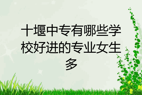 十堰中专有哪些学校好进的专业女生多