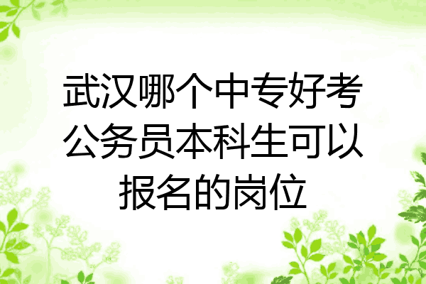 武汉哪个中专好考公务员本科生可以报名的岗位
