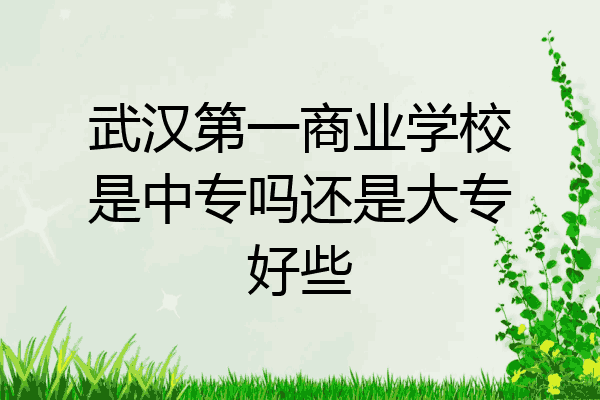 武汉第一商业学校是中专吗还是大专好些