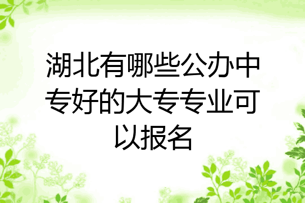 湖北有哪些公办中专好的大专专业可以报名