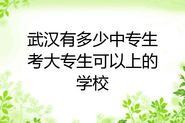 武汉有多少中专生考大专生可以上的学校