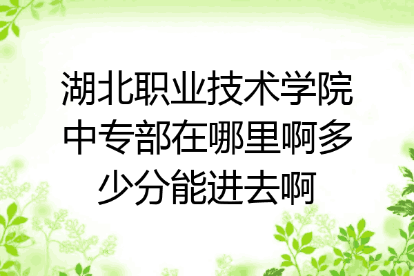 湖北职业技术学院中专部在哪里啊多少分能进去啊