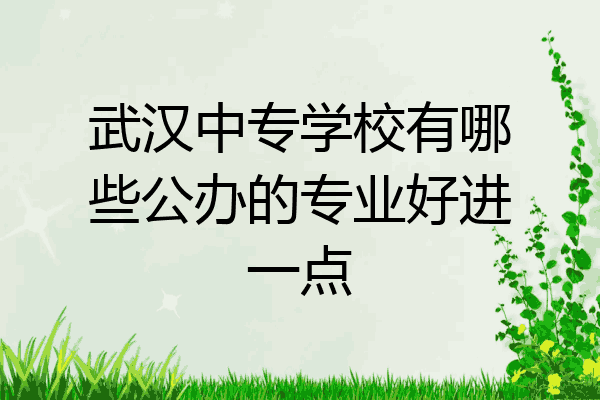 武汉中专学校有哪些公办的专业好进一点