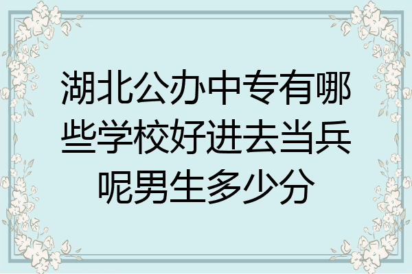 湖北公办中专有哪些学校好进去当兵呢男生多少分