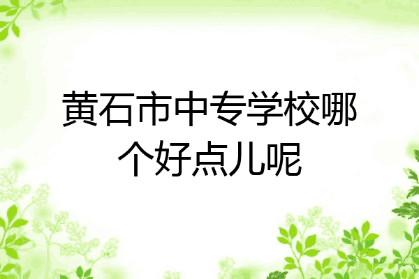 黄石市中专学校哪个好点儿呢