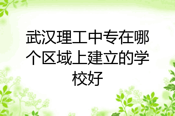 武汉理工中专在哪个区域上建立的学校好