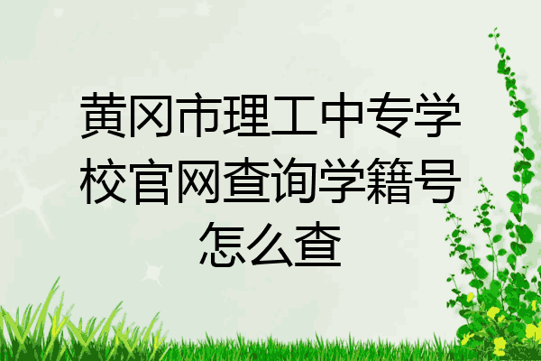 黄冈市理工中专学校官网查询学籍号怎么查