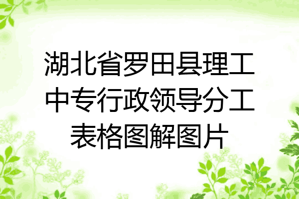 湖北省罗田县理工中专行政领导分工表格图解图片