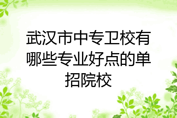 武汉市中专卫校有哪些专业好点的单招院校
