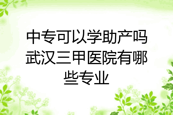 中专可以学助产吗武汉三甲医院有哪些专业