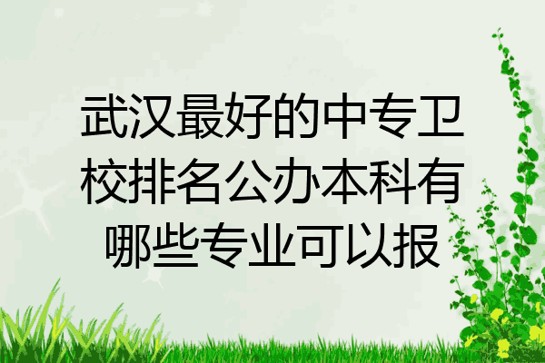 武汉最好的中专卫校排名公办本科有哪些专业可以报
