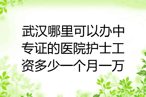 武汉哪里可以办中专证的医院护士工资多少一个月一万