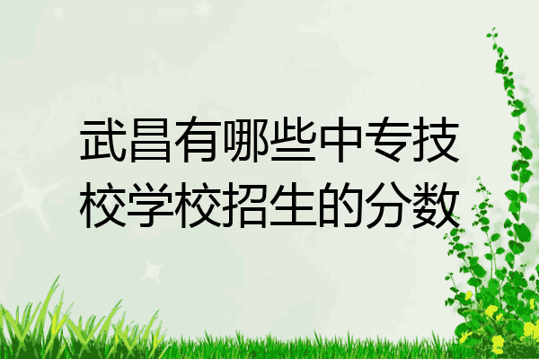 武昌有哪些中专技校学校招生的分数