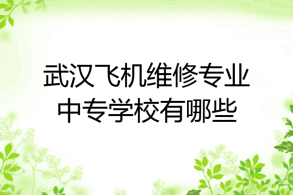 武汉飞机维修专业中专学校有哪些