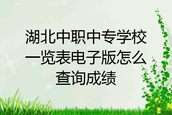 湖北中职中专学校一览表电子版怎么查询成绩