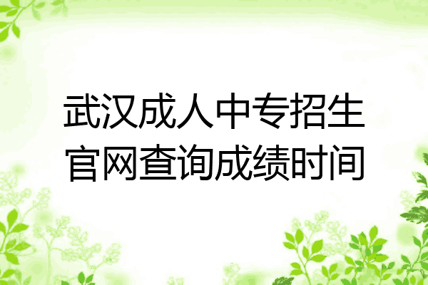 武汉成人中专招生官网查询成绩时间