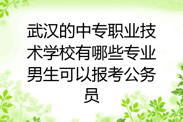 武汉的中专职业技术学校有哪些专业男生可以报考公务员