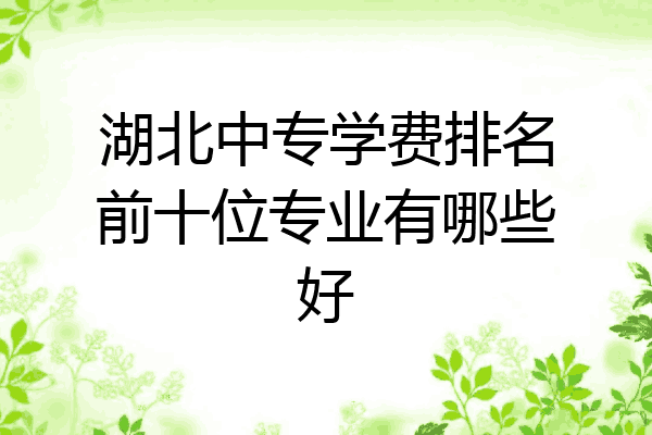 湖北中专学费排名前十位专业有哪些好