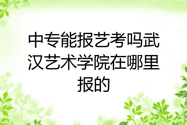 中专能报艺考吗武汉艺术学院在哪里报的