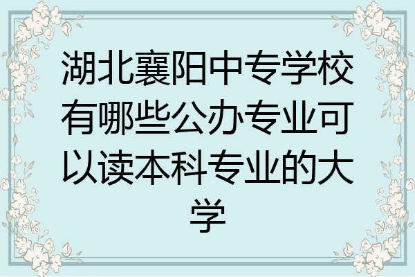 湖北襄阳中专学校有哪些公办专业可以读本科专业的大学