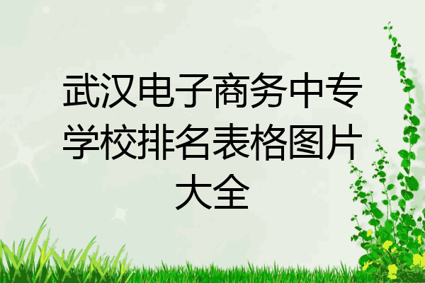 武汉电子商务中专学校排名表格图片大全