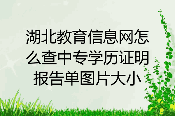 湖北教育信息网怎么查中专学历证明报告单图片大小