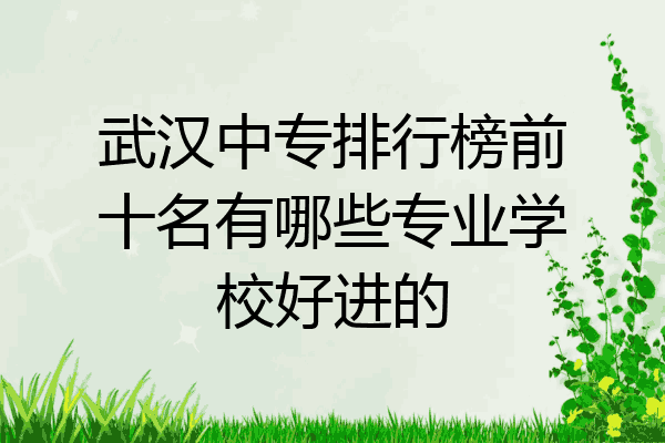 武汉中专排行榜前十名有哪些专业学校好进的