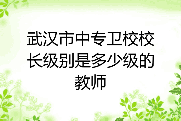 武汉市中专卫校校长级别是多少级的教师