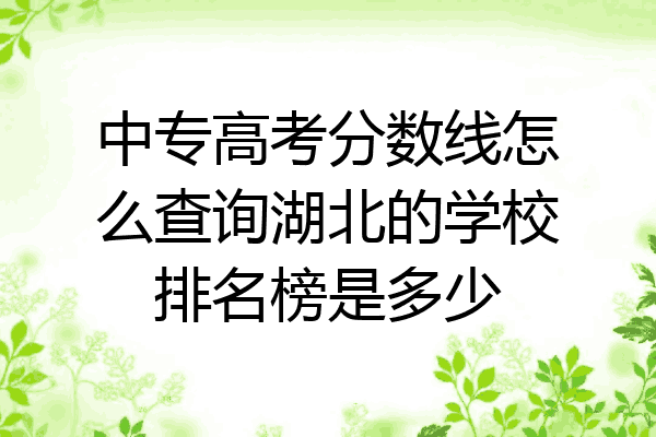 中专高考分数线怎么查询湖北的学校排名榜是多少