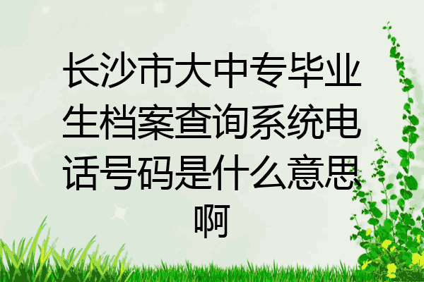 长沙市大中专毕业生档案查询系统电话号码是什么意思啊