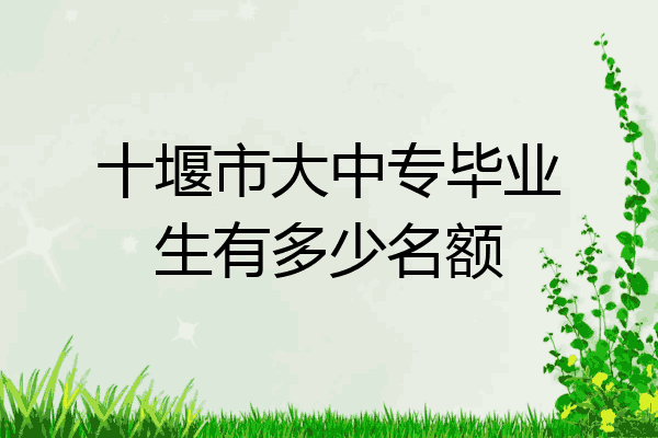 十堰市大中专毕业生有多少名额