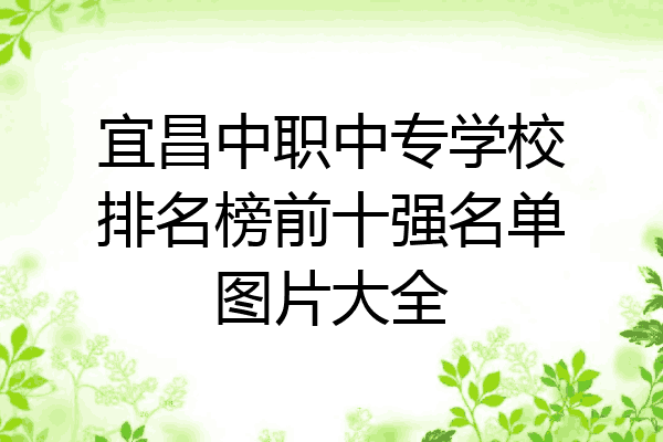 宜昌中职中专学校排名榜前十强名单图片大全