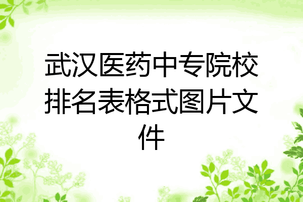 武汉医药中专院校排名表格式图片文件