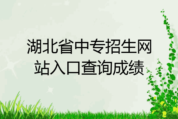 湖北省中专招生网站入口查询成绩