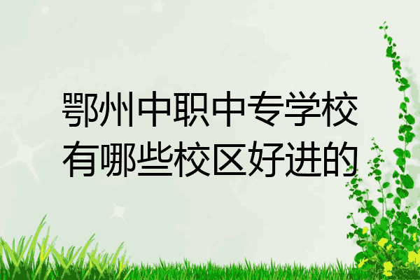 鄂州中职中专学校有哪些校区好进的