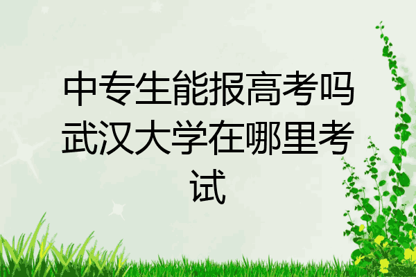 中专生能报高考吗武汉大学在哪里考试