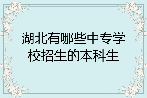 湖北有哪些中专学校招生的本科生