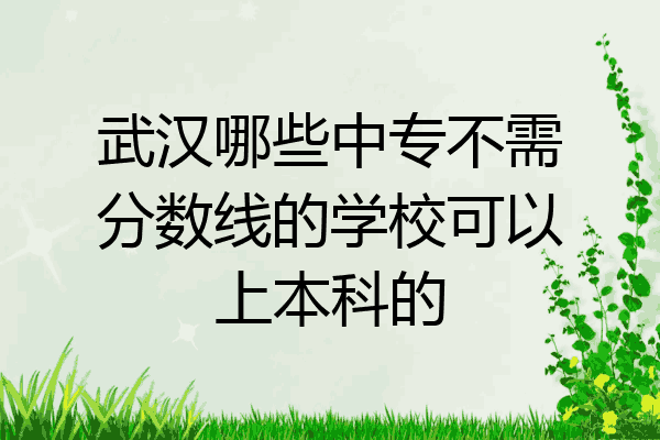 武汉哪些中专不需分数线的学校可以上本科的