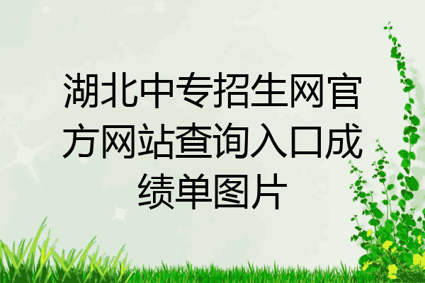 湖北中专招生网官方网站查询入口成绩单图片