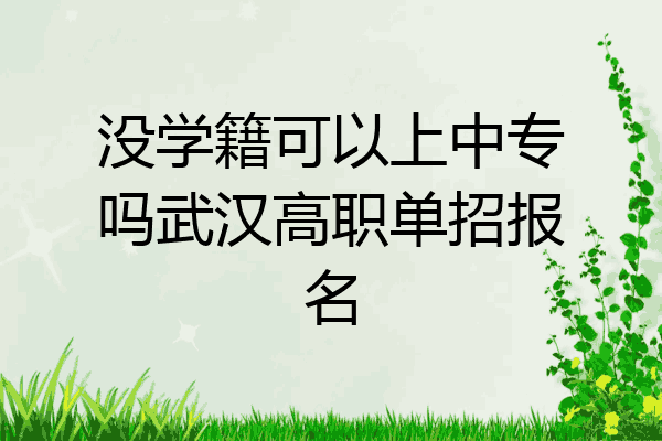 没学籍可以上中专吗武汉高职单招报名
