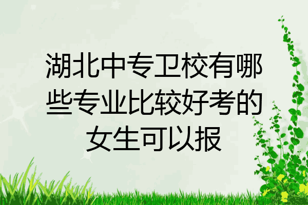 湖北中专卫校有哪些专业比较好考的女生可以报