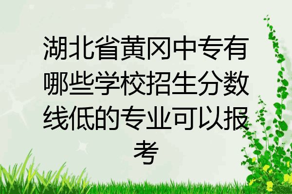 湖北省黄冈中专有哪些学校招生分数线低的专业可以报考
