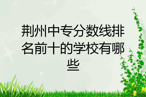 荆州中专分数线排名前十的学校有哪些