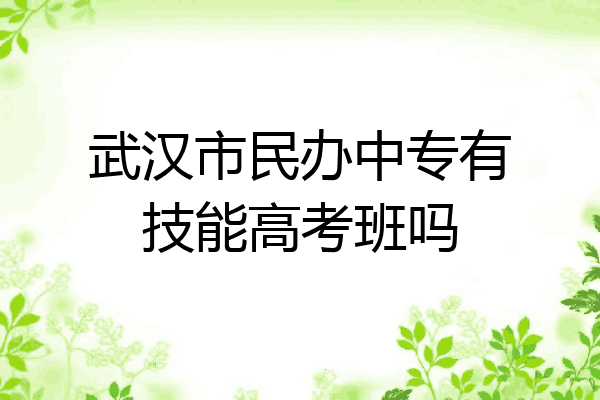 武汉市民办中专有技能高考班吗