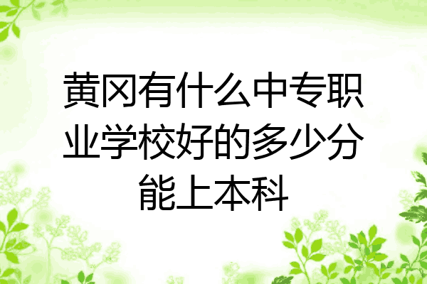 黄冈有什么中专职业学校好的多少分能上本科