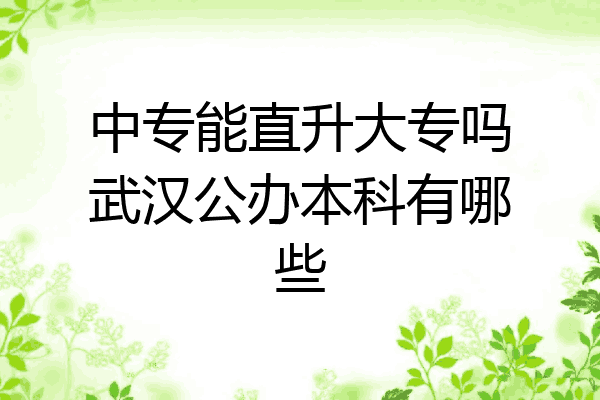 中专能直升大专吗武汉公办本科有哪些